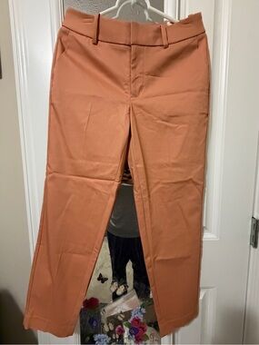 a new day Women's Terracotta Straight Leg Dress Pants